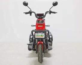 Электротрицикл Green Camel Фродо Q2 (60V 500W) дифф