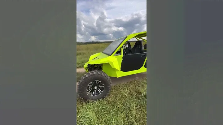 Электро Багги ELIQ5