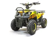 Детский квадроцикл на аккумуляторе GreenCamel Gobi K40 36V 800W армейский желтый Green Camel (Грин Кэмл)