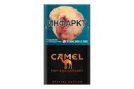 Camel Compact Special Edition