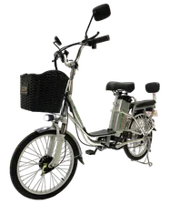 Электровелосипед GreenCamel Транк 20 V8 R20 250W (БЕЗ АКБ)