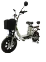 Электровелосипед GreenCamel Транк Монстр PRO R16FAT 60V 500W (БЕЗ АКБ)