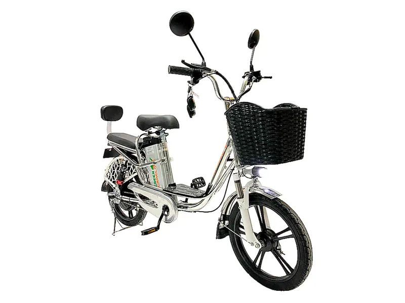 Электровелосипед GreenCamel Транк 18 V8 PRO (R18 250W 60V 20Ah)-0