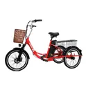 Электровелосипед Green Camel Трайк-20 48V 15Ah