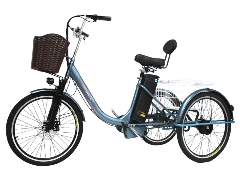 Электровелосипед трицикл GreenCamel Трайк-B (R24 500W 48V 20Ah)-0