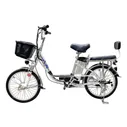 Электровелосипед Green Camel Транк-20 V2 250W 48V 10Ah