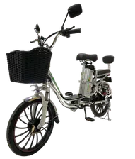 Электровелосипед GreenCamel Транк 20 V8 PRO R20 250W (БЕЗ АКБ)