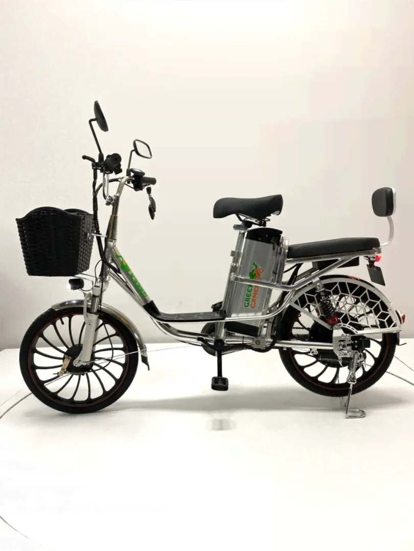 Электровелосипед Green Camel Транк 20 V8 PRO-4