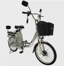 Электровелосипед GreenCamel Транк 20 V8 (R20 250W) алюм, DD
