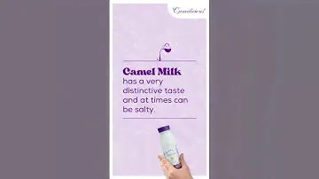 Things you didn't know about Camel milk - 4