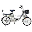 Электровелосипед Green Camel Транк-20 (R20 350W 48V 10Ah) Алюм 2-х подвес