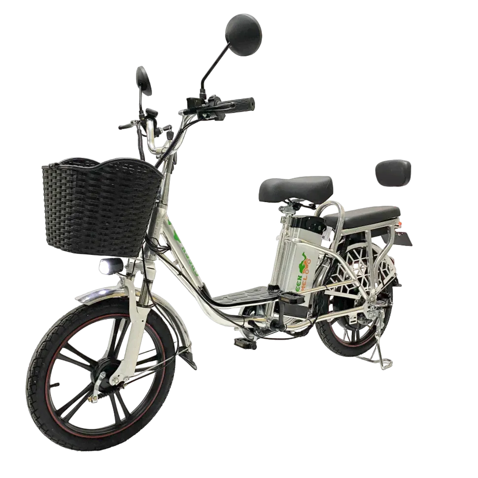 Электровелосипед GreenCamel Транк 18 V8 (R18 250W 60v10Ah) Алюм-0