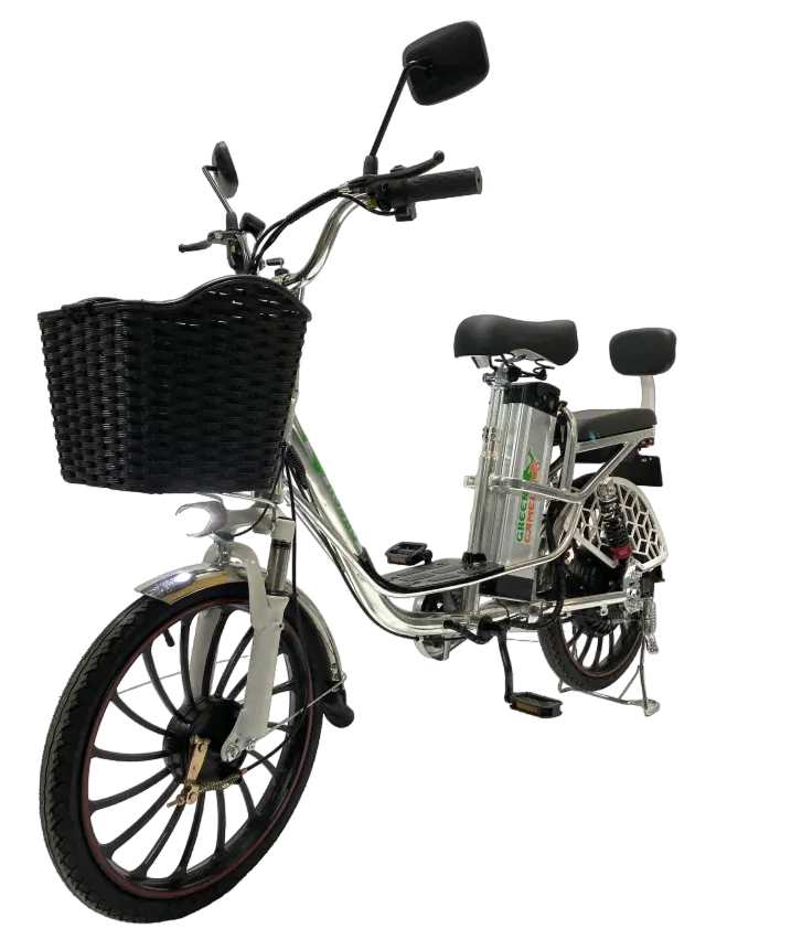 Электровелосипед GreenCamel Транк 20 V8 PRO R20 250W (БЕЗ АКБ)