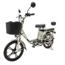 Электровелосипед GreenCamel Транк 18 V8 (R18 250W 60v10Ah) Алюм