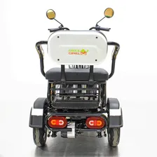 Трицикл GreenCamel Фродо X7 (60V 500W R8) дифференциал