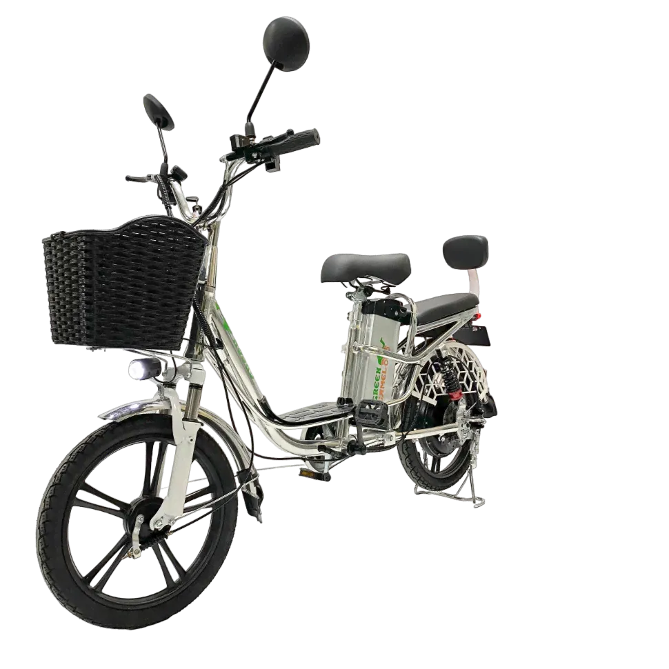 Электровелосипед GreenCamel Транк 18 V8 PRO R18 250W (БЕЗ АКБ)