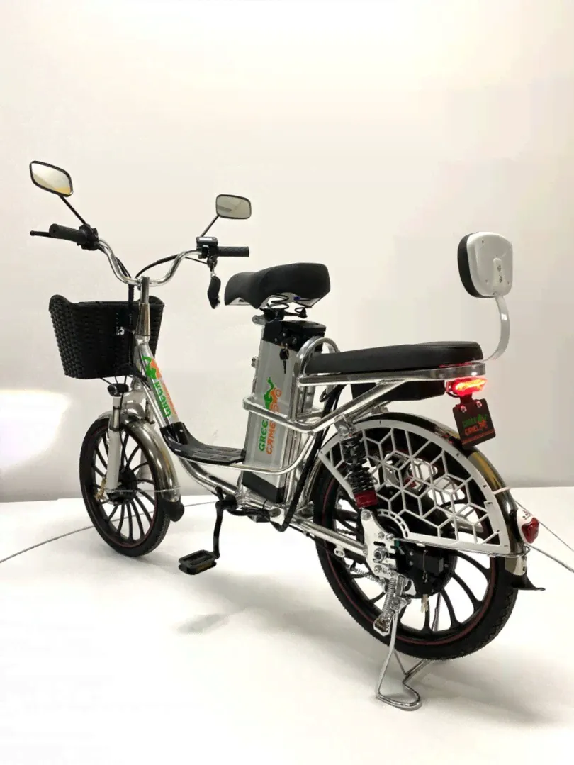 Электровелосипед Green Camel Транк 20 V8 PRO-0