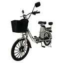 Электровелосипед GreenCamel Транк 20 V8 PRO (R20 250W, алюм, 2х подвес)
