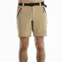 Шорты спортивные мужские +8000 Grand Camel Camel Moutain Brown