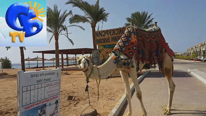 Даня в Египте День#1 гуляем по отелю Daniil the first day in Egypt