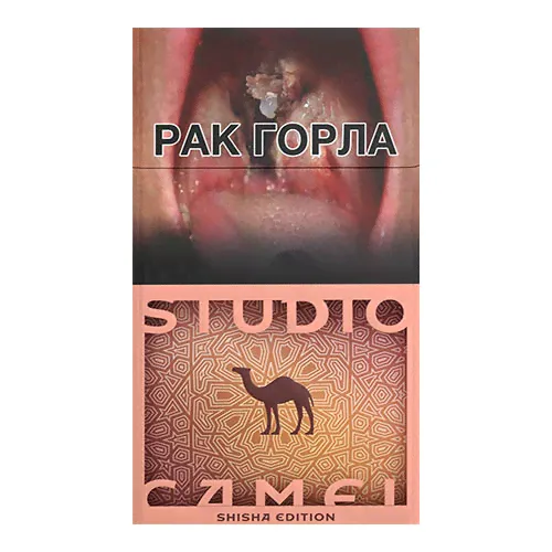 Сигареты Camel Studio Shiha (Кэмел Шоколад и Клубника)