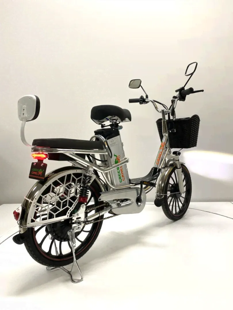 Электровелосипед Green Camel Транк 20 V8 PRO-1