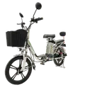 Электровелосипед GreenCamel Транк 18 V8 PRO R18 250W (БЕЗ АКБ)