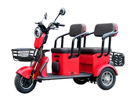 Электротрицикл GreenCamel Пони Z8 (60V 650W) дифференциал, (Красный)