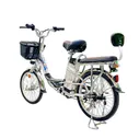 Электровелосипед Green Camel Транк-20 V2 250W 48V 10Ah