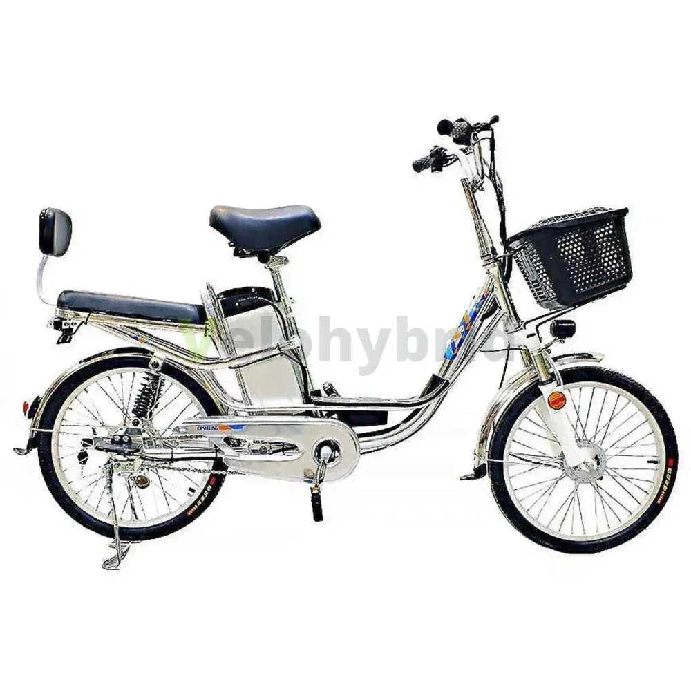 Электровелосипед Green Camel Транк-20 (R20 350W 48V 10Ah) Алюм 2-х подвес-0